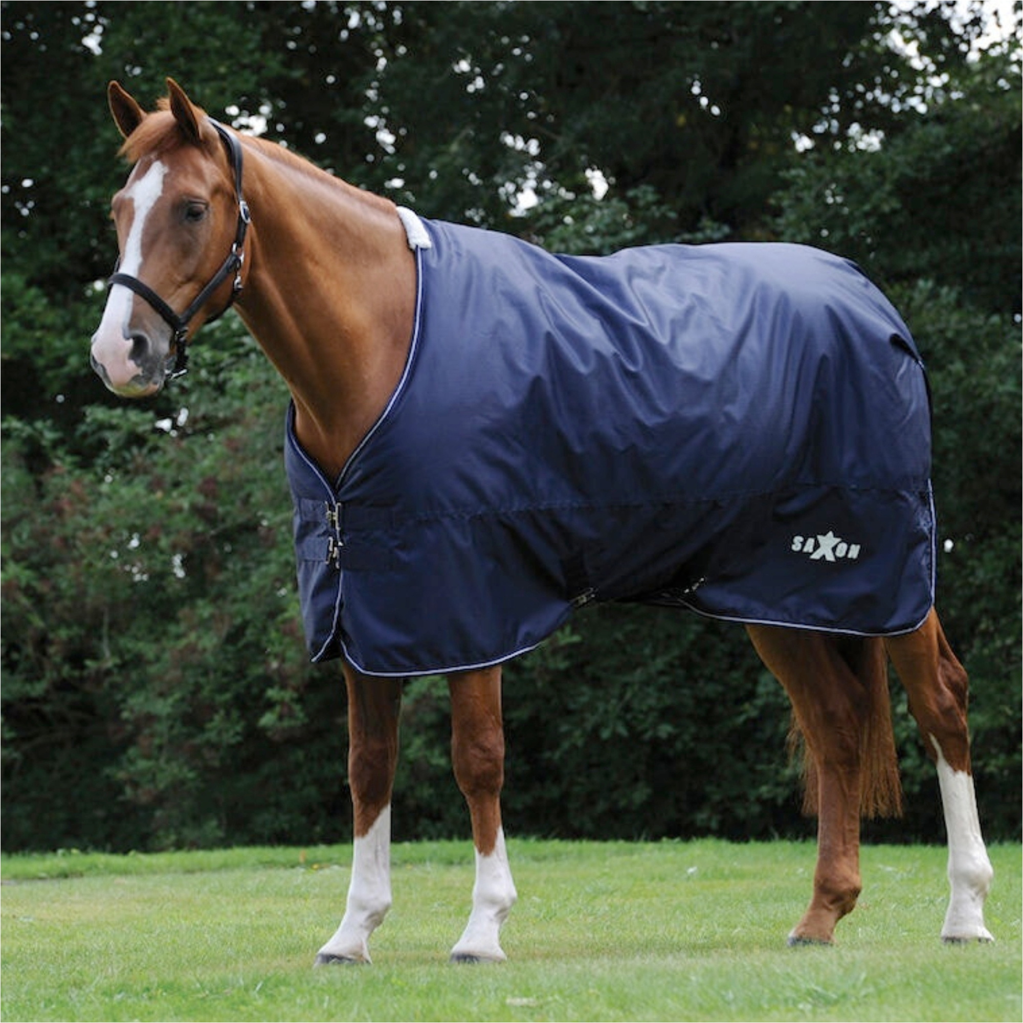 Saxon Defiant 600D Standard Neck Medium 1006342 - Navy / White